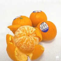【舒果SoFresh】美國砂糖橘(約600g/袋)