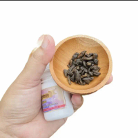 MPOT BIANG ALAMI DARI TUMBUHAN LAUT KERING Pengencang