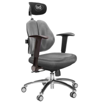 【GXG 吉加吉】雙軸枕 雙背電腦椅 鋁腳/摺疊升降扶手(TW-2604 LUA1)