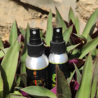 BingoLife Essen Atraktan / Umpan Pancing / Booster Atraktan / Umpan Galak Ikan / Pemancing Ampuh /Be