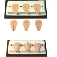 Artificial Abortion Simulated Uterus,Artificial abortion curettage Simulator