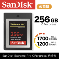 【eYe攝影】現貨 SanDisk Extreme PRO CFexpress® Type B 256GB 高速記憶卡 公司貨