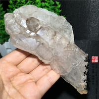天然鱷魚皮骨干水晶原石 冥想高頻能量療愈資料庫標本實物圖特價