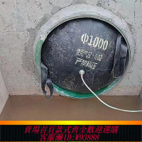 {臺灣公司貨 可打統編}閉水試壓氣囊600污水管堵漏皮囊試水球膽市政排水管堵球膠囊止水