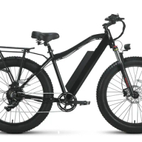 Electric Bike 750W Sport Mountain Snow 4.0 Fat E-bike 48V 25Ah lithium Battery
