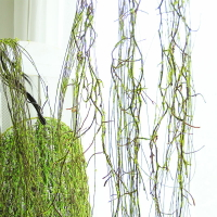 森系青苔枯枝樹藤條垂吊懸掛造型苔蘚枝條柳條植物墻角裝飾造布景