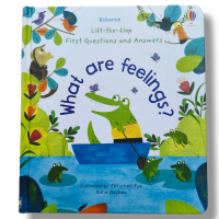 Usborne Lift The Flap What Are Feelings?