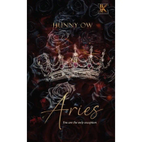 Idea Kreatif - Novel Aries by Hunny Ow (2025) | novel melayu