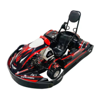 China Outstanding Sale TS7 Rental Kart With GX200CC go-kart kart racer parts accessories Wholesale