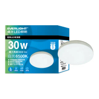【Everlight 億光】30W恆亮 LED壁切吸頂燈 適用3-4坪 2年保固(白光)