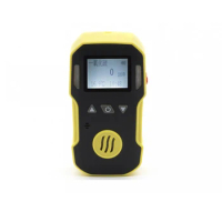 Portable BH-90A PH3 phosphine gas detector profession phosphine gas analyzer range 0-20ppm