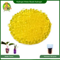 Media Tanaman Pengganti Tanah Hydrogel Untuk Mempercantik Tanaman Hias Kuning