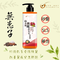 皂皂果 - 紅石榴橄欖無患子洗髮精 500mL