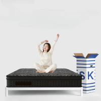 Double Side Soft Mattresses High Quality Spring Core Sleep Foldable Memory Foam Mattress Queen Sleeping Matelas Salon Furniture