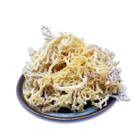 【蔘大王】多膠原寒天黃珊瑚草（除味去鹽）（300gX1）(自然鈣厲害 石花草 麒麟菜)