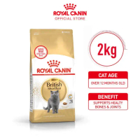 Royal Canin British Shorthair (Adult) 2kg -Dry Kibble Cat Food/ Makanan Kucing Dewasa - Feline Healt