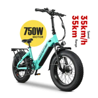 MZ-9 48V 500W Adult Long Range Powerful Moter E-Bike 20 Inch E Road Bike Hybrid Electric Fat Tire Bicycle