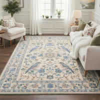 Non Slip Area Rug for Living Room, Entryway, Bedroom, Kitchen and Corridor - Lightweight Mat, Machin