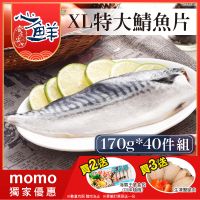 【心鮮】老饕最愛挪威鯖魚片40件組(170g-200g/片)