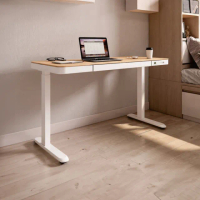 【Flexispot】E9W-C居家美型楓木白色電動升降桌(兩節單馬達快裝版 120×60附抽屜)