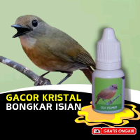 Vitamin Burung Sikatan SRDC Gacor