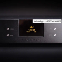 Precision audio DAC-D1000, DK, R2R, DSD decoder Rockna replica