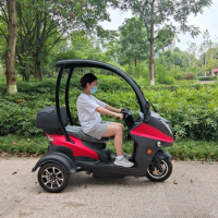 3 wheels electric scooters outdoors 800W electric tricycle with EEC certification