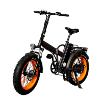 2022 Ristar China Factory 20 Inch 4.0 Fat Tire 48v 500w 750w Ebike Adult Folding Electric Fat Bike Electric Bicycle RSD507