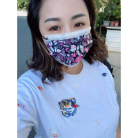 《現貨》荷康/丰荷 明星塗鴉 成人醫療口罩 一盒50入