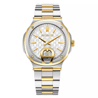 Aigner AIGNER Taviano 2 - Jam Tangan Pria - Silver Dial Dual Tone Stainless Steel - AGW.241008