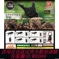 {可刷卡 打統編}現貨 萬代 扭蛋 昆蟲 仿真生物大圖鑒 甲蟲06 鍬形蟲鹿角蟲獨角仙