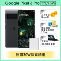 原廠30W快充頭組【Google】Pixel 6 Pro (12G/256G)