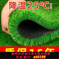 【台灣公司 可開發票】仿真草坪地毯陽光房玻璃屋頂隔熱專用人造綠色戶外人工假草皮裝飾