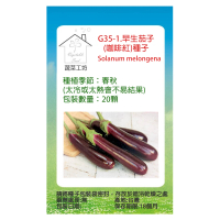 蔬菜工坊 G35-1.早生茄子種子(咖啡紅)