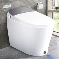 Smart Toilet, Built in Tank Bidet Toilet,Heated Seat,,Blackout Can Flush, Night LightLED Display, Automatic Intelligent Toilets