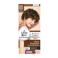 Liese Creamy Bubble Color 100g #Dark Chocolat
