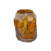 Amber specimen small animal living protolith Gecko Lizard chongpo rare fossil ornament