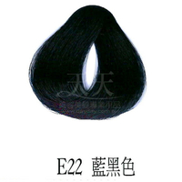 施蘭蔻光璨染髮 (E22_藍黑色) 60g [23762] ::WOMAN HOUSE::