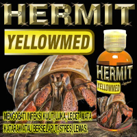 HERMIT YELLOWMED OBAT KELOMANG KEONG PANTAI INFEKSI KULIT LECET LUKA HERMITCRAB MENCEGAH STRESS KUMA