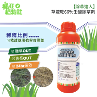 【除草達人】草速乾66%壬酸除草劑(濃縮液、非農藥無毒殺草劑、除青苔雜草 瘋狂植物社)
