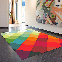 范登伯格 - SWING 進口仿羊毛地毯 - 彩繪 (120 x 170cm)