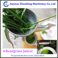 High efficiency handy wheat grass juicer juicing machine for wholesale