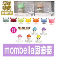 【組合新上市】英國 mombella Q比 小蘑菇 / 固齒器套組 (防掉繩+固齒器+收納盒)/樂咬咬 章魚