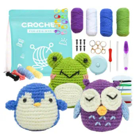 Crochet Kit For Adults Wool Needle Felting Starter With Instruction Crocheting Kit Crochet Tool Set DIY Needle Felting Supply