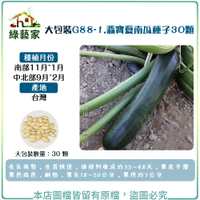 【綠藝家】大包裝G88-1.翡寶夏南瓜種子(綠櫛瓜.節瓜.嫩南瓜.美國南瓜) 30顆