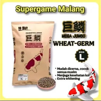 Mega Jumbo Wheat Germ 1KG 1 KG Super Grow Color Whitening Growth Colour Pakan Ikan Koi Import