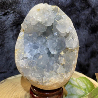 【Cozy 世界水晶原礦與茶】天青石蛋型 45-6(靜心安神 提升睡眠品質)