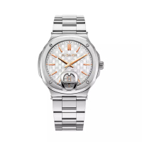 Aigner MEN'S WATCH - TAVIANO 2 AGW.241006