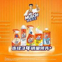 威猛先生廚房重油污清潔劑300g*2支 抽油煙機清洗 除菌去漬 無刺鼻氣味- 圖片色 均碼