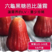 【農頭家】六龜LV級黑糖芭比蓮霧禮盒(中果/5台斤)